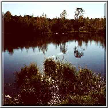 A lake in Sosnovka Park in northern Sankt Petersburg. Russia, September 26, 2000