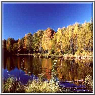 The same lake in Sosnovka Park, from south. Sankt Petersburg, Russia, September 26, 2000