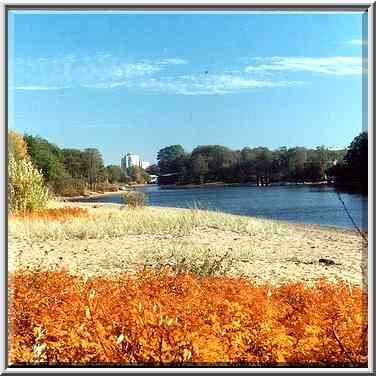 Wild roses on the beach and Sestra River in ...[6 words]... Petersburg. Russia, October 2, 2000