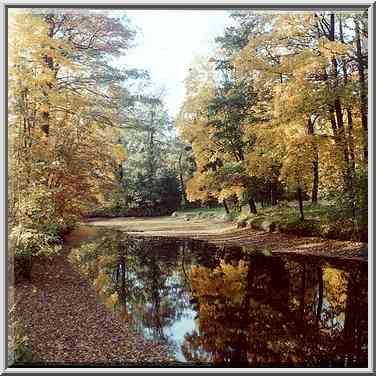 Canals of Elagin Island. Sankt Petersburg, Russia, October 2, 2000