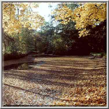 A canal of Elagin Island at fall. Sankt Petersburg, Russia, October 2, 2000