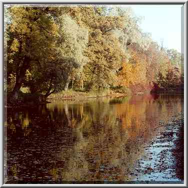 A canal of Elagin Island at fall. Sankt Petersburg, Russia, October 2, 2000