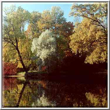 A pond and canals of Elagin Island at fall. Sankt Petersburg, Russia, October 2, 2000