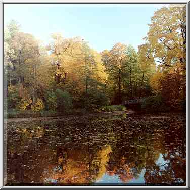 A pond on Elagin Island at fall. Sankt Petersburg, Russia, October 2, 2000