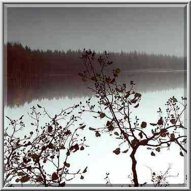 A lake at morning 3 miles west from Kanneliarvi, ...[5 words]... Petersburg. Russia, October 6, 2000