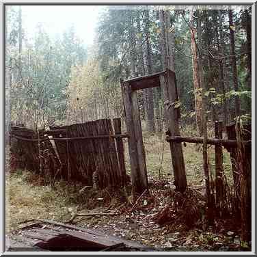 A spring at an abandoned Finnish farm in a forest ...[10 words]... Petersburg. Russia, October 6, 2000