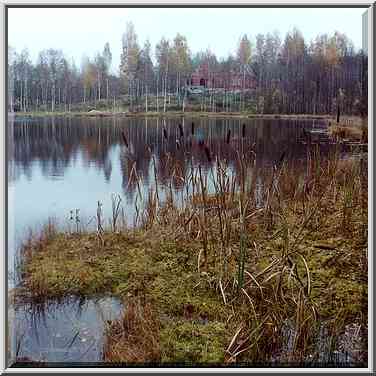 A small lake 1 mile east from Toksovo, 10 miles ...[3 words]... Petersburg. Russia, October 8, 2000