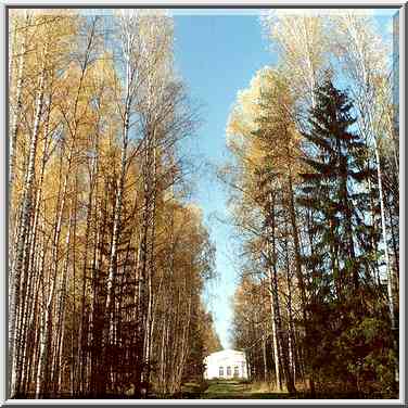 An alley in Pavlovsk, a former Tsar residence. Sankt Petersburg, Russia, October 11, 2000