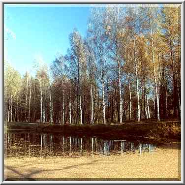 A pond in Pavlovsk, a former Tsar residence. Sankt Petersburg, Russia, October 11, 2000