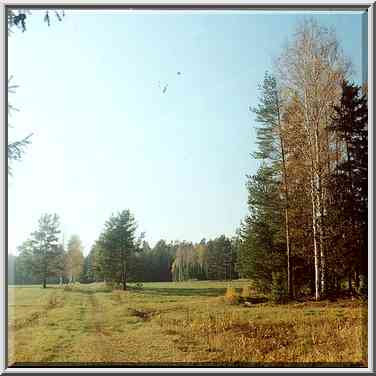 Road to Tiarlevo village in Pavlovsk Park. Sankt Petersburg, Russia, October 11, 2000