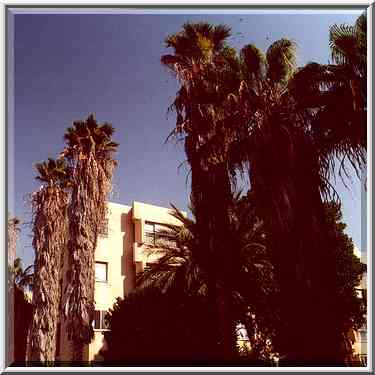 Residential houses for immigrants at Bialik St. Beer-Sheva, the Middle East, November 4, 2000