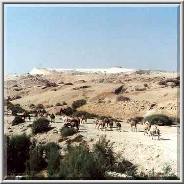 View of Nahal Beer Sheva from Hativa Shemone ...[2 words]... the Middle East, November 4, 2000