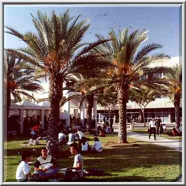 In front of Student Center of BGU. Beer-Sheva, the Middle East, November 8, 2000