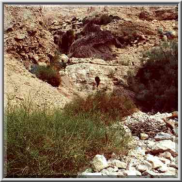 Trail to Upper Pools of Nahal Arugot. Ein Gedi, the Middle East, November 30, 2000