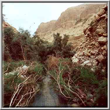 Trail to Upper Pools of Nahal Arugot. Ein Gedi, the Middle East, November 30, 2000