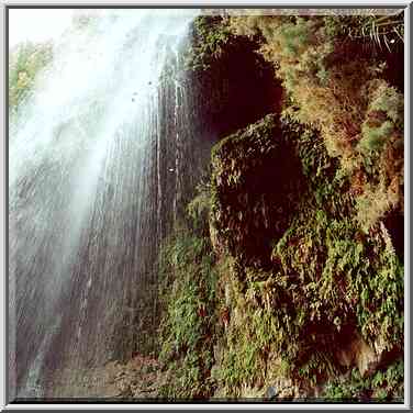 Shulamit fall. Ein Gedi, the Middle East, November 30, 2000