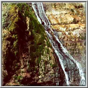 Moss at Shulamit fall. Ein Gedi, the Middle East, November 30, 2000