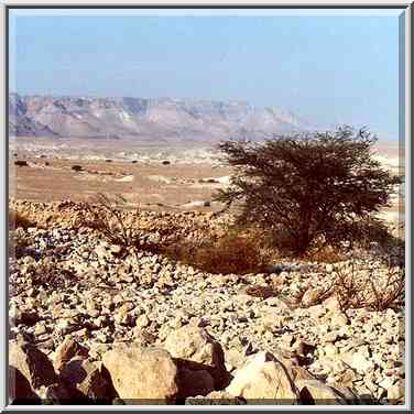 Dead Sea banks north from Masada. The Middle East, December 7, 2000