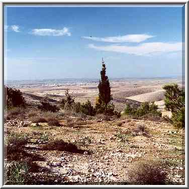 View of beginning of Lahav Forest from hills of ...[9 words]... The Middle East, December 16, 2000