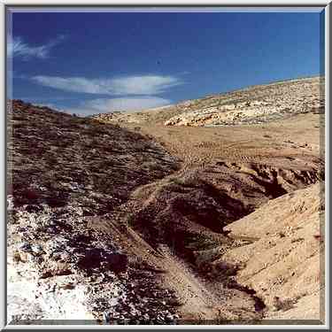 Negev Desert near N. Lahav Nature Reserve, 4 ...[4 words]... The Middle East, December 16, 2000