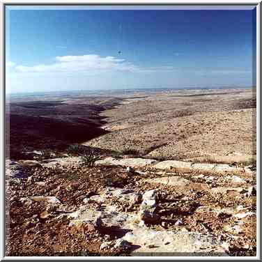 N. Lahav Nature Reserve, 4 miles north from ...[5 words]... (?). The Middle East, December 16, 2000