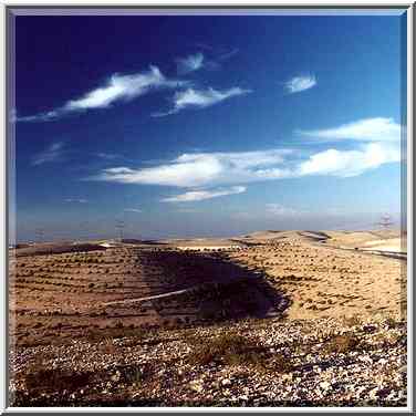 Hills with planted pines in Negev Desert, 1.5 ...[4 words]... The Middle East, December 16, 2000