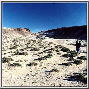 A trail to En Yorkeam spring south from Dimona. The Middle East, December 23, 2000