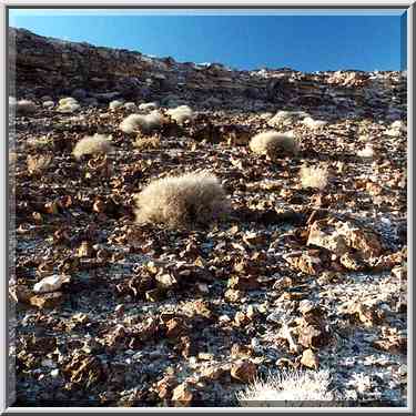 A slope to a river behind En Yorkeam spring south ...[2 words]... The Middle East, December 23, 2000