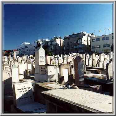 Old Cemetery near Allenby Rd. and Ben Yehuda St. ...[6 words]... the Middle East, December 28, 2000