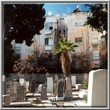 Old Cemetery near Allenby Rd. and Ben Yehuda St. ...[6 words]... the Middle East, December 28, 2000