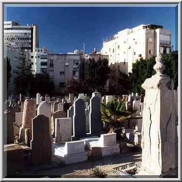 Old Cemetery near Allenby Rd. and Ben Yehuda St. ...[6 words]... the Middle East, December 28, 2000