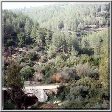 View of Sorek River from Rd. 395, west from Jerusalem. The Middle East, December 30, 2000