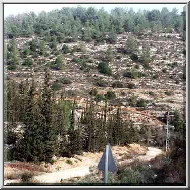 View of Sorek River from Rd. 395, west from Jerusalem. The Middle East, December 30, 2000