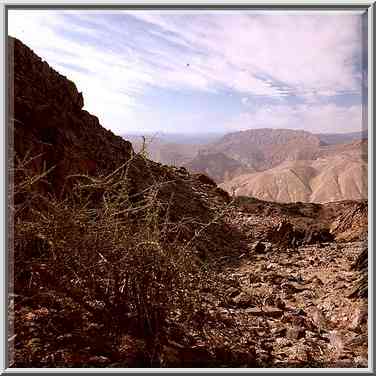 A dry riverbed on Egyptian border near Taba, 3 ...[4 words]... The Middle East, January 13, 2001