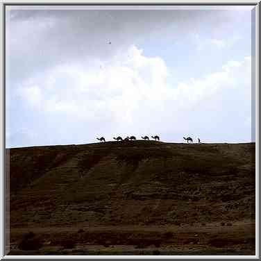 View from Rd. 31 from Arad to Dead Sea. The Middle East, January 20, 2001