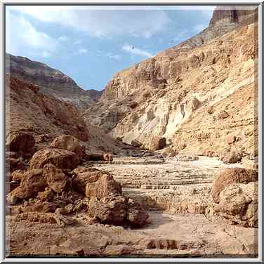 Nahal Tseelim River, 2 miles north from Masada. The Middle East, January 20, 2001