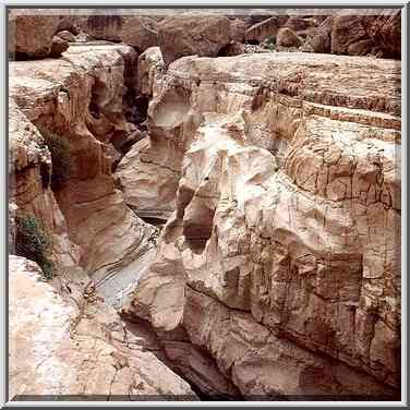 Geye Bahak Gorge, 2 miles north from Masada. The Middle East, January 20, 2001