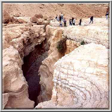 Picnic at Geye Bahak Gorge, 2 miles north from Masada. The Middle East, January 20, 2001