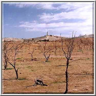 A garden in northern Beer-Sheva opposite to ...[12 words]... The Middle East, January 26, 2001