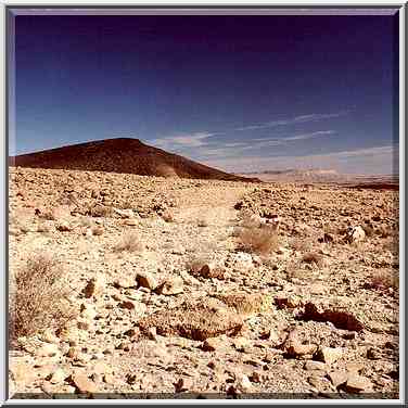 A jeep track on a bottom of Ramon Crater, view to the east. The Middle East, February 1, 2001