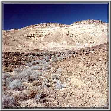 A foot of a hill on a bottom of Ramon Crater. ...[16 words]... The Middle East, February 1, 2001