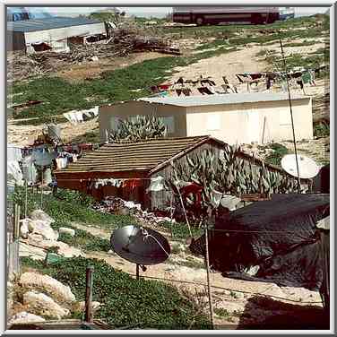 A Bedouin village. Lahav Forest (8 miles north ...[2 words]... the Middle East, February 3, 2001