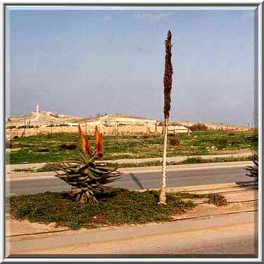 Ben Gurion Blvd., with Negev Desert on ...[2 words]... the Middle East, February 8, 2001