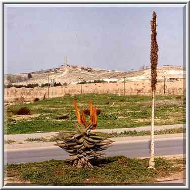 Ben Gurion Blvd., with Hanegev Palmach Brigade ...[4 words]... the Middle East, February 8, 2001