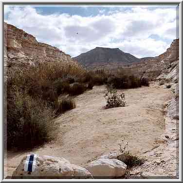 A trail along Nahal Akev creek, 2 miles east from Avdat. The Middle East, February 15, 2001