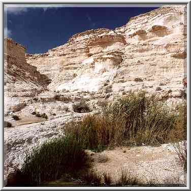 Ein Akev Elyon spring in Nahal Akev creek, 2 ...[4 words]... The Middle East, February 15, 2001