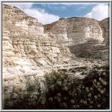 Nahal Akev creek canyon below Ein Akev Elyon ...[6 words]... The Middle East, February 15, 2001