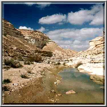 Nahal Akev creek canyon below Ein Akev Elyon ...[6 words]... The Middle East, February 15, 2001