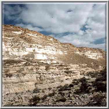 Nahal Akev creek canyon, 2.5 miles east from Avdat. The Middle East, February 15, 2001