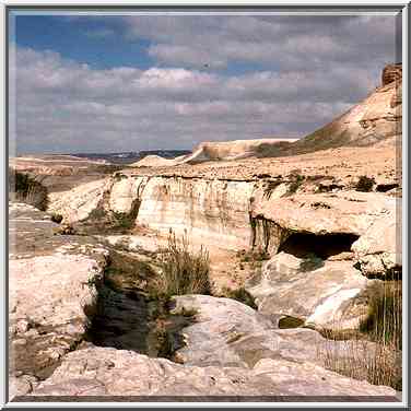 Ein Akev Tahton spring creating a small ...[11 words]... The Middle East, February 15, 2001